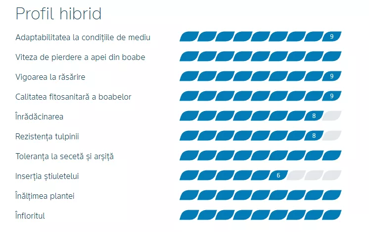 profil dkc3400
